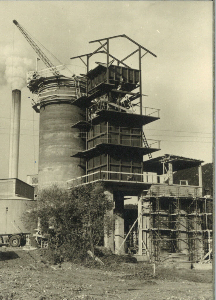 1981