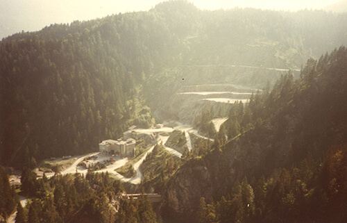 1981